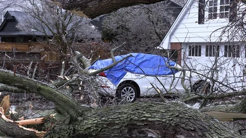 Ice storm and tree damage after freezing rain and windy weather Stock Footage 120663059