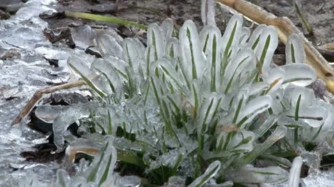 Ice storm Stockbeeldmateriaal 22214618