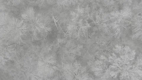 Ice storm Stock Footage 258807513