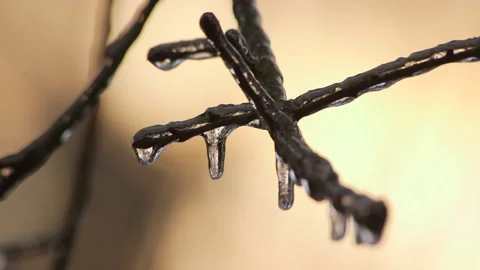 Ice storm winter freeze Video stock 148594646