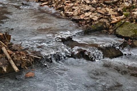 Ice on stream in forest Stock-Fotos