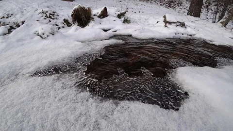 Ice on a stream in a winter forest Stock Footage 120100103