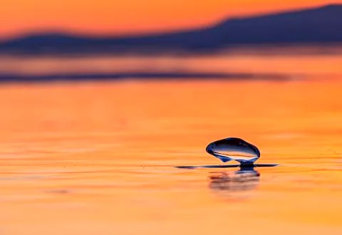 Ice at sunset on a background of mountains Stock Photos