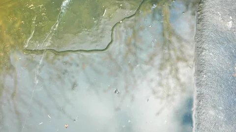 Ice texture and reflection in cold water.Cold weather and frosts. Stock Footage 346175779