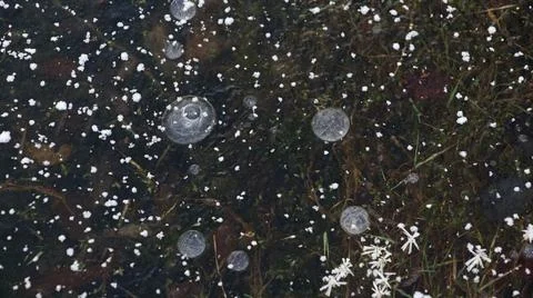 Ice Texture with Bubbles and Snow Stock Photos