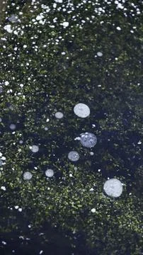 Ice Texture with Bubbles and Snow Stock Photos