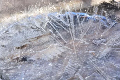 Ice texture in the garden Stock Photos