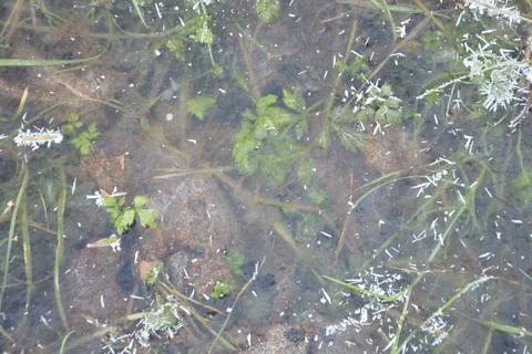 Ice texture on the ground winter patterns 스톡 사진