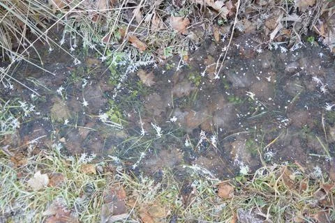 Ice texture on the ground winter patterns 库存照片