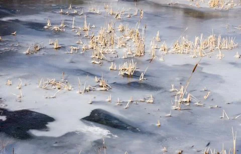 Ice texture Stock Photos