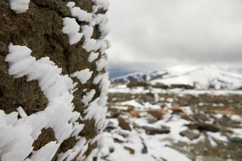 Ice texture on a rock Stock Photos