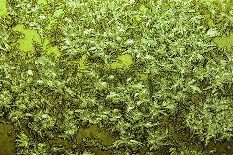 Ice texture on the window, green Stock Photos
