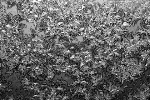 Ice texture on the window, white Stock Photos