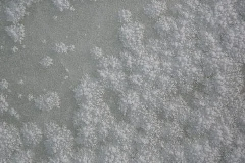 Ice texture on the window, white Stock Photos