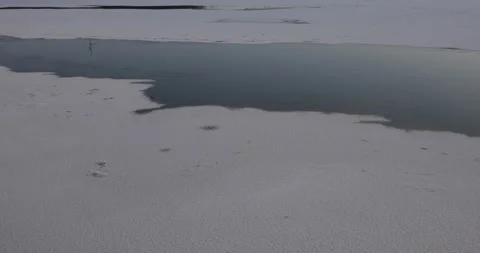 The ice is thawing on the river. Stock Footage 149784257
