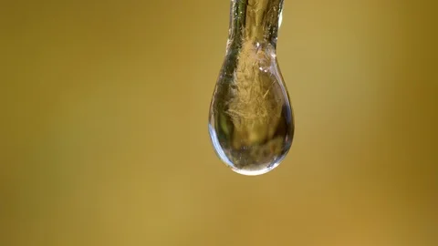 Ice thawing in spring Video stock 88870320