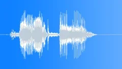 ICE Thin Cracked Crust on Lake 38Sound Effect