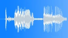 ICE Thin Cracked Crust on Lake 52Sound Effect