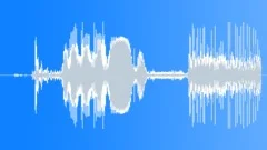 ICE Thin Smashed Brittle Fragments 89 Sound Effect