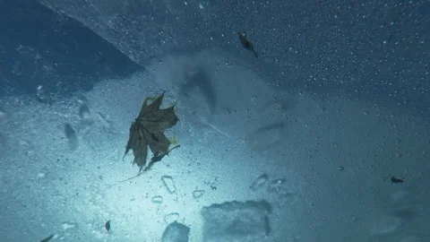 Ice with tiny air bubbles drifts under spring blue sky, below waterline 스톡 동영상 330542659