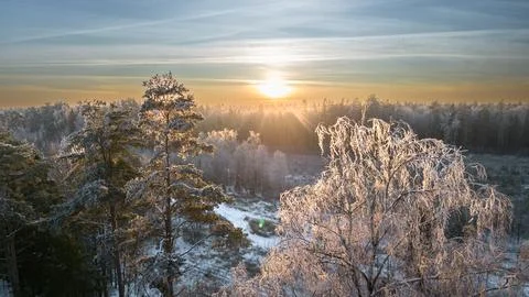 Ice tree against the backdrop of a winter sunset Stock Photos