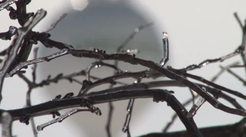 Ice Tree and Water Tower Stock Footage 36278360