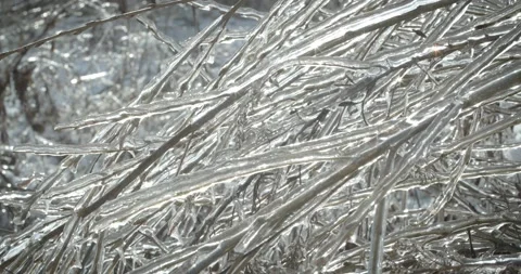 Ice on a tree branch Stock-Footage 143854770