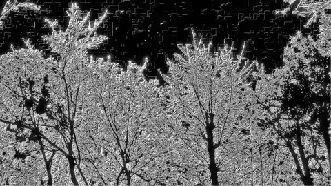 Ice Trees And House On The Turn View In Abstract Shiny Drawing Stock Footage 84597952