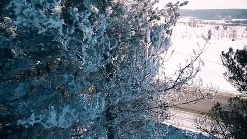 Ice trees over the road Stock Footage 88237950