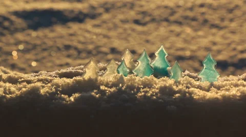 Ice trees in the sunlight Stock Footage 34078009