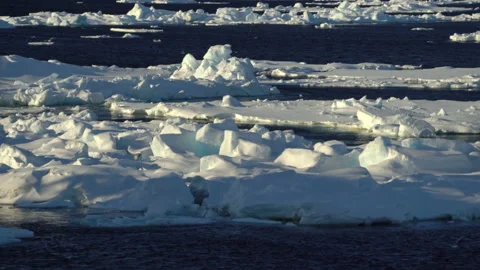 Ice on the water. Chunks of ice. The ice is melting. The Arctic. Gulls fly Stock Footage 154477748