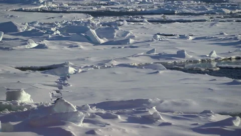 Ice on water. Chunks of ice. Ice melting. The Arctic. Gulls fly. Shadow on Stock Footage 163183993