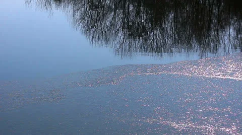 Ice  on the water Stock Footage 22540383