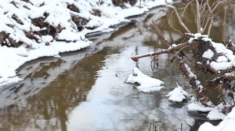 Ice water running in a fast spring creek. Falling snowflakes Stock Footage 47526260