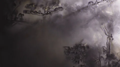 Ice in water under a microscope with rolling sharpness Stock Footage 86789907