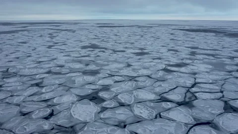 Ice on water. View from ship. Pancake ice. A wave on surface shakes ice floes. Stock Footage 218591587