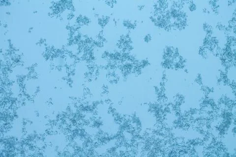 Ice on a window, background Stock Photos