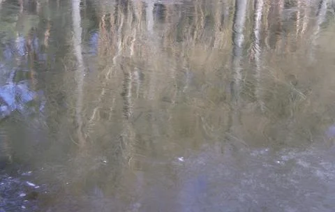 Ice on winter river with reflection of trees Stock Photos