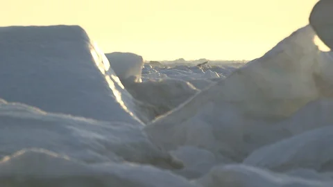 Iceberg and drifting ice in the sunset, North Pole Video stock 104954056