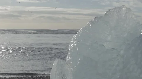Iceberg on the beach Iceland Stock Footage 48033402