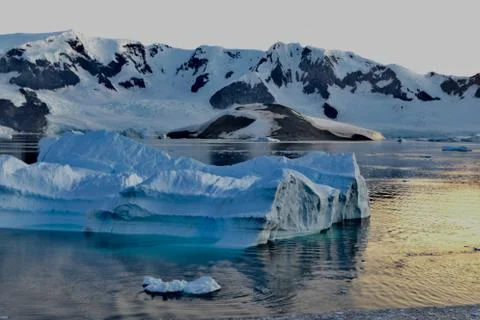 Iceberg during sunset, soft evening light reflection, blue ice water, Antarctica Stock Photos