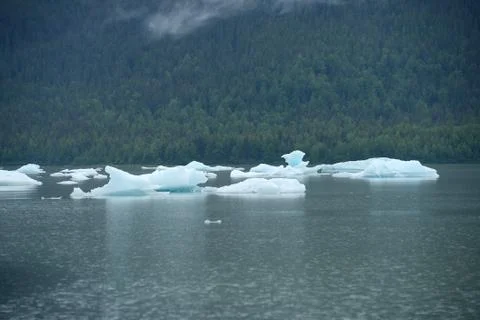 Iceberg float Stock Photos