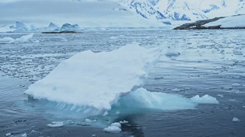 Iceberg Ice Floating in Ocean Close Up, Blue Antarctica Icebergs in Antarctic Stock Footage 308207810