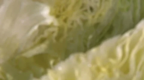 ICEBERG LETTUCE Vidéo 59007307