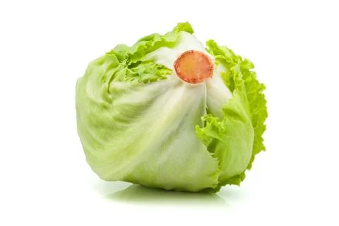 Iceberg  lettuce Stock Photos