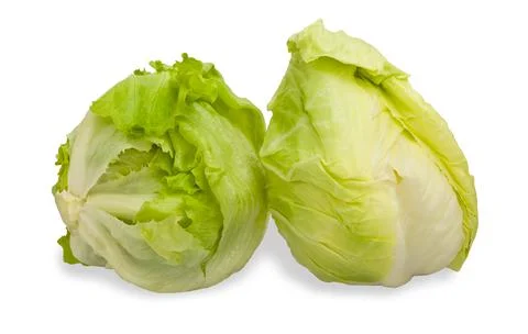 Iceberg lettuce 写真素材
