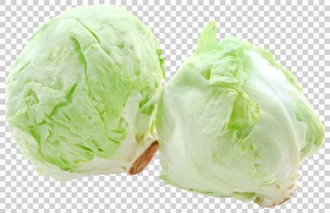 Iceberg lettuce Stock Photos