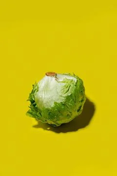 Iceberg lettuce salad on a solid yellow background Stock Photos