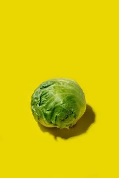 Iceberg lettuce salad on a solid yellow background Foto stock