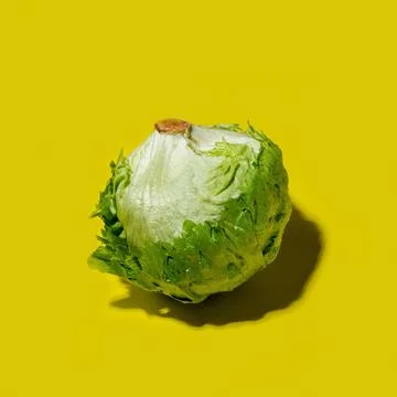 Iceberg lettuce salad on a solid yellow background Stock Photos